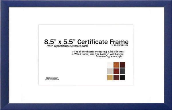 Matted CompTIA Frame for CompTIA Certificates, PE Certificates, Postcards - 8.5" x 5.5" Frame With Mat